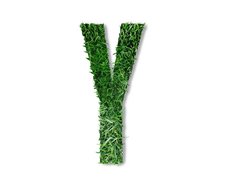 Y