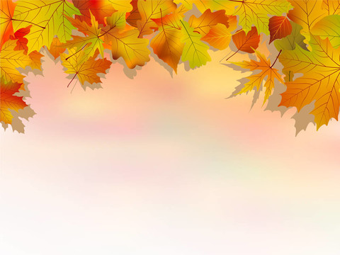 秋天的多彩的背景。