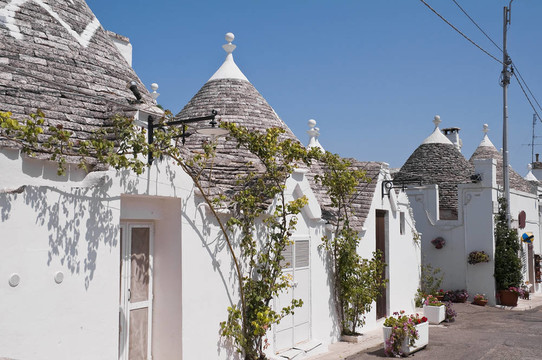 特魯利。阿爾貝羅貝洛。Apulia。