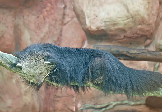獨(dú)自承受