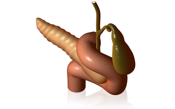 胰腺