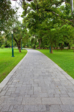 通過景觀公園的道路