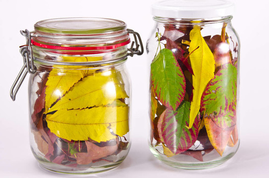 Eingeweckte Herbst F？R的冬天