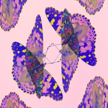 蝴蝶凡妮莎cardui