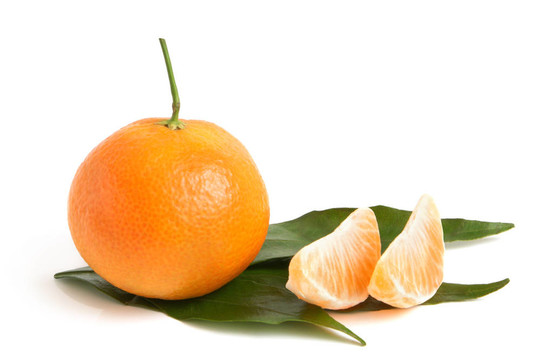 新鮮的葉子和段Tangerine夜店