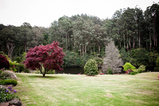 公園