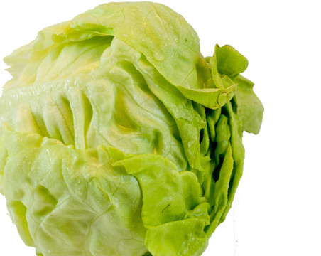 生菜