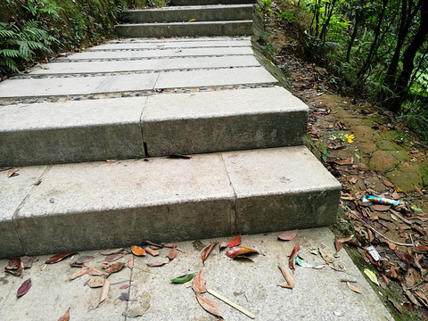 階梯