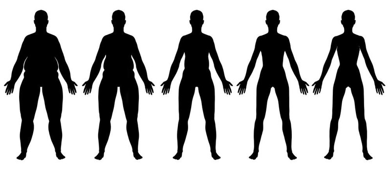 肥胖到瘦女性剪影前視圖