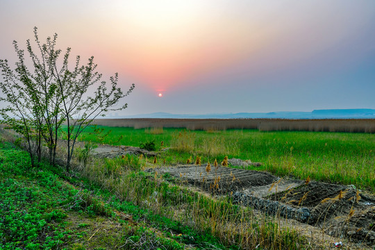 濕地夕陽(yáng)