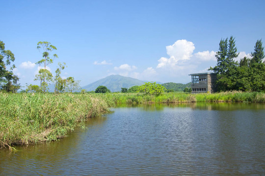 香港濕地公園