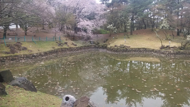 湖花園色彩靜浪漫倒影落葉浮萍和