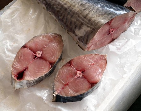 新鮮的金槍魚排