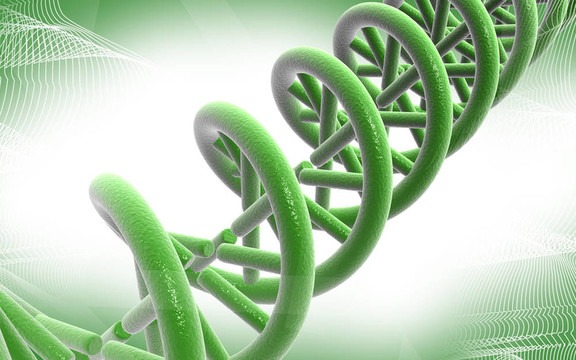 DNA