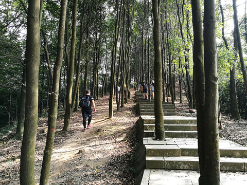 山路