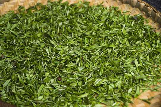 綠茶葉