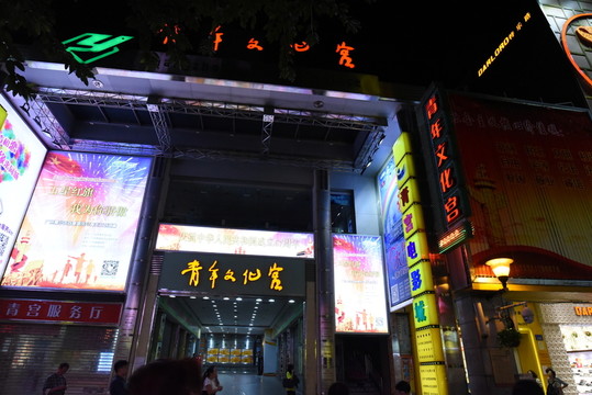 廣州青少年宮夜景