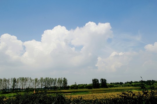 田園風(fēng)光
