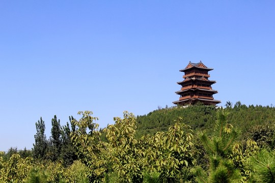 臨山風光