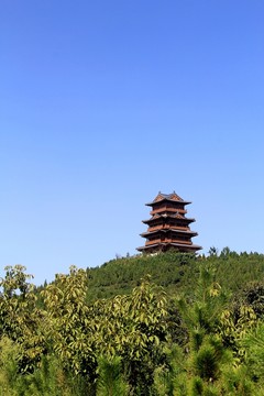 臨山風(fēng)光