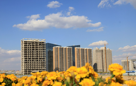 城市風(fēng)光