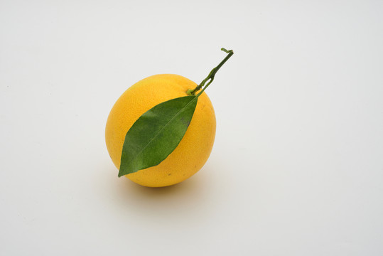 江西臍橙