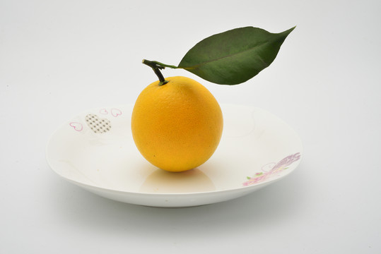 江西臍橙