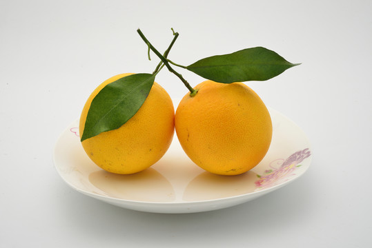 江西臍橙