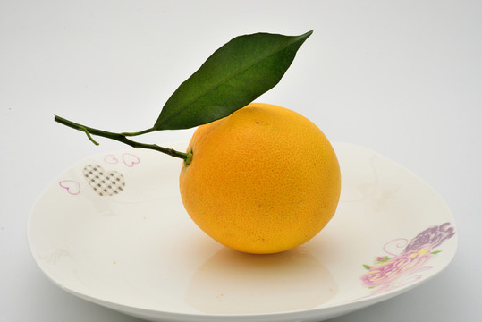 江西臍橙
