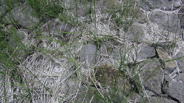石砌