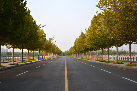 鄉(xiāng)村泊油路