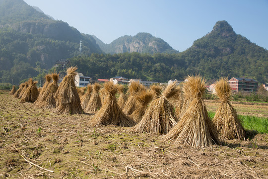 稻草堆