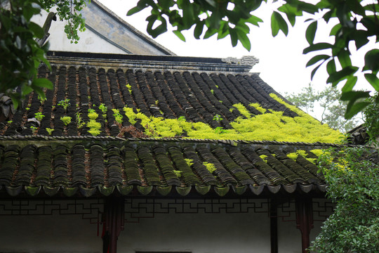 中式屋頂
