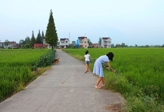 鄉(xiāng)村女孩