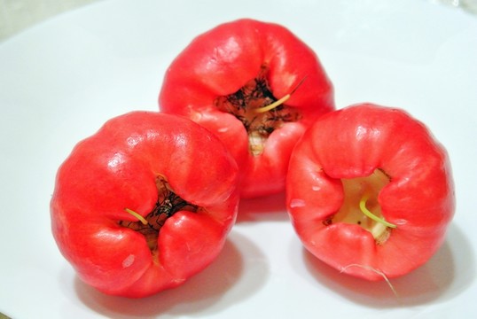 蒲桃 蓮霧 進口水果