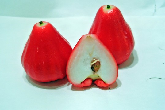 蒲桃 蓮霧 進(jìn)口水果