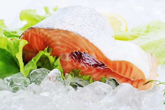 冰上的魚(yú)