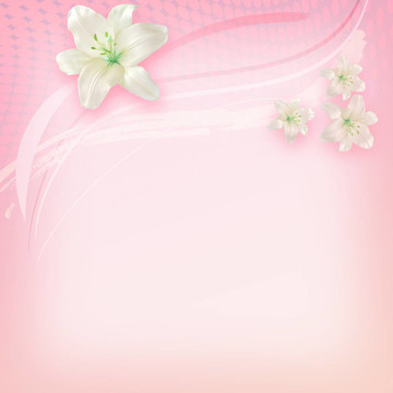 白百合
