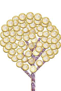 金錢樹