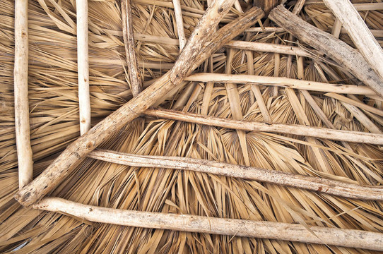 海灘小屋屋頂結(jié)構(gòu)。