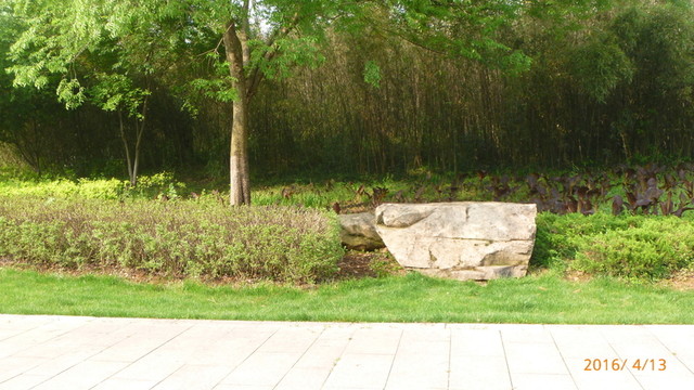 竹林