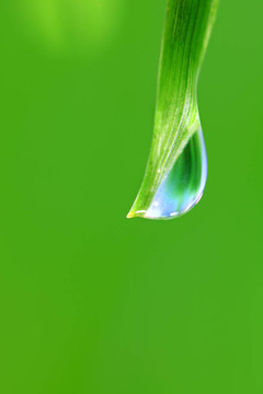 大水滴