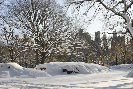 中央公園市雪