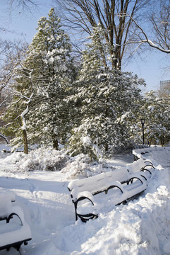 雪臺中央公園