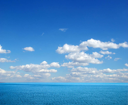 海