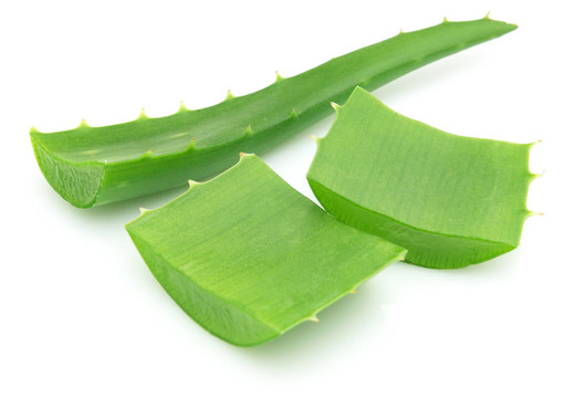 蘆薈