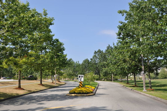 自然公園景色