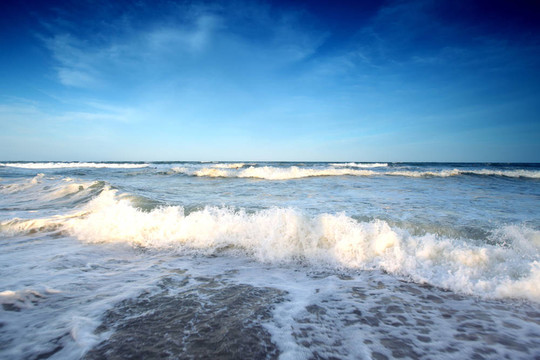 海洋