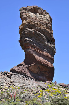 在金絲雀島大石頭Cinchado