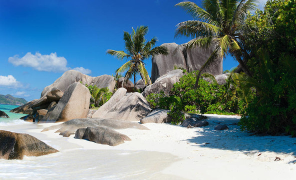 Anse Source D銀色沙灘